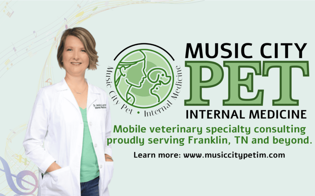 Introducing Music City Pet Internal Medicine: Enhancing Collaborative Care for Your Furry Friends